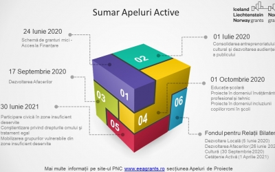 Sumar Apeluri Active