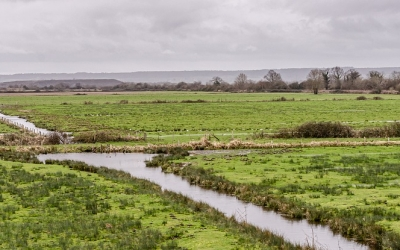 Call for proposals for "Restoration of wetlands and peatlands"