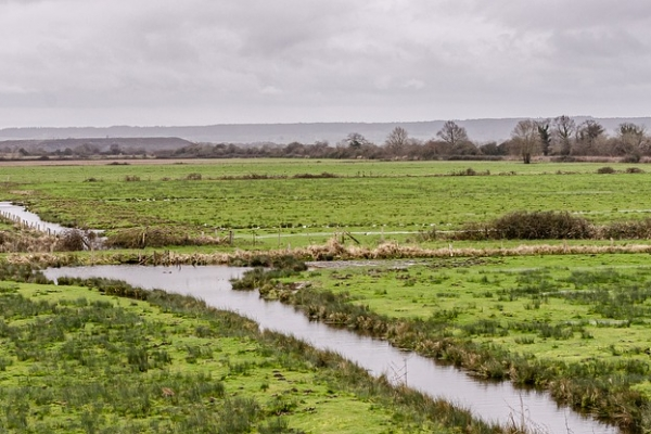 Call for proposals for "Restoration of wetlands and peatlands"